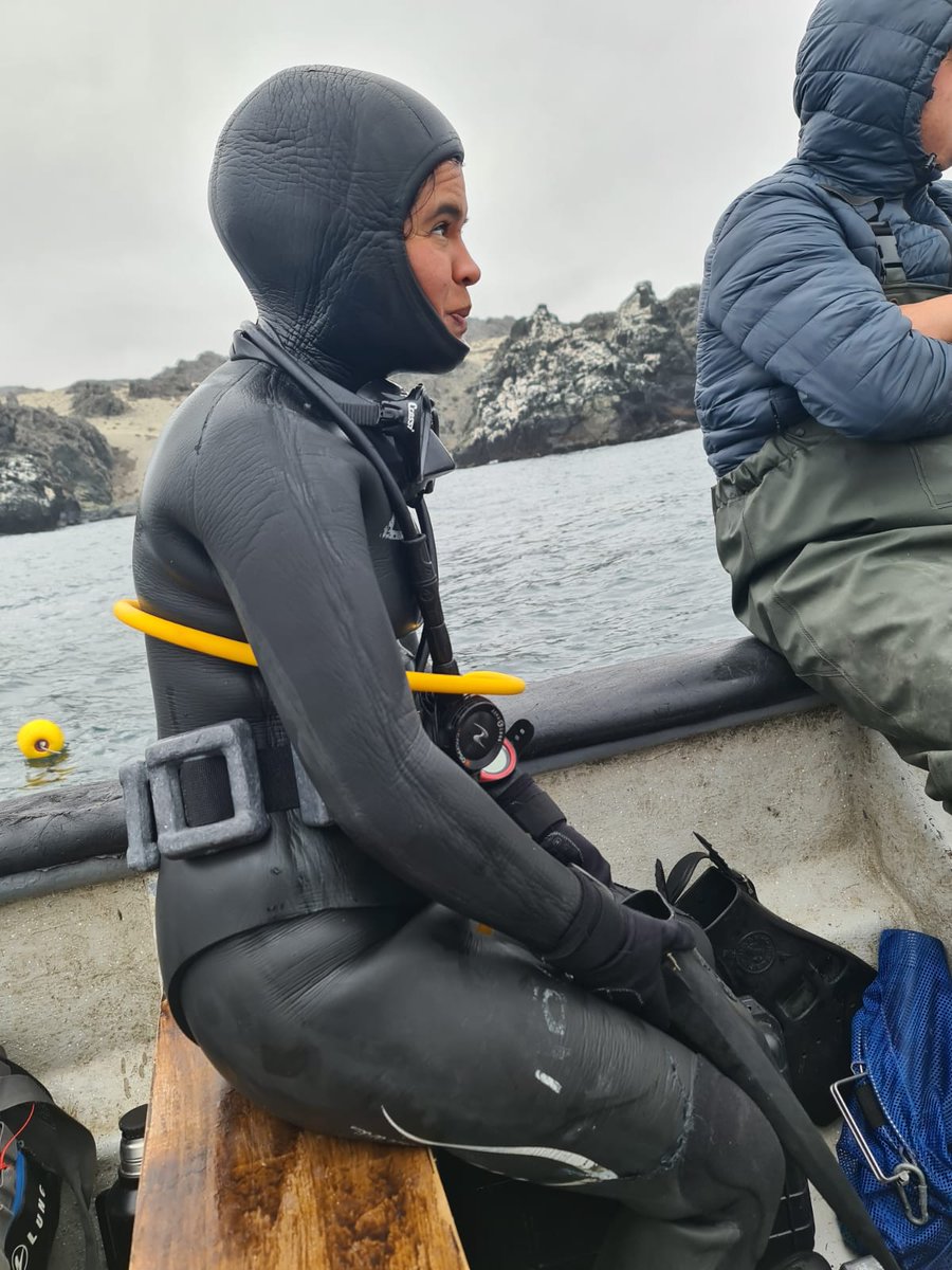 Subelab_chile tweet media