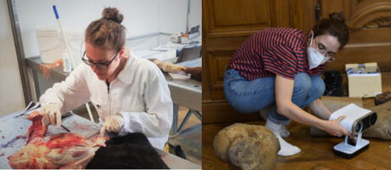 International Day of Women and Girls in Science
And I am very glad to have two fantastic women at my lab #GRAVIBONE: Pauline Hanot &amp; <a href="/camille_bader/">Camille Bader</a>
And will be happy to welcome more female scientists in the lab!
