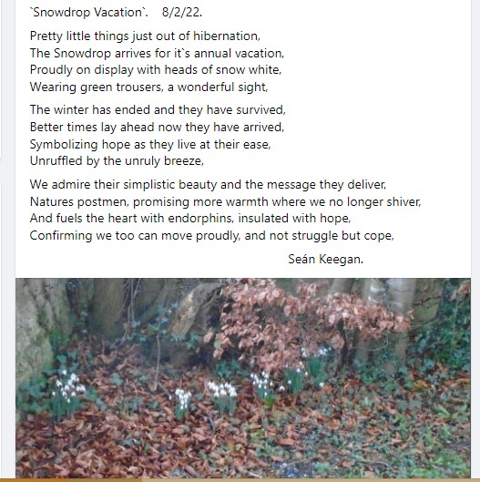 looprevil05's tweet image. A poem I was inspired to write as I viewed these beautiful resilient snowdrops.