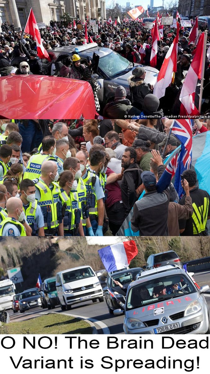 SegiDuh's tweet photo. It is spreading everyone! Stay safe out there! 

#covid #world #worldnews #newvariant #staysafe #Protest #convoy #CanadaFreedomConvoy #Canada https://t.co/47hztGxXsc