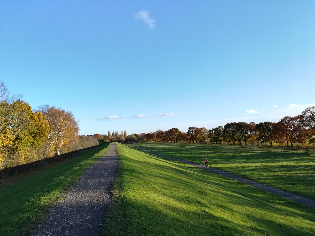 EnvAgencyYNE's tweet photo. We will be doing tree works around Clifton Ings, #York, starting next week as part of our Clifton Ings flood defence works. The Sustrans route will remain open and staff will be present to ensure public safety.
#FCERM #YorkFAS https://t.co/hTU4cZ5iRL