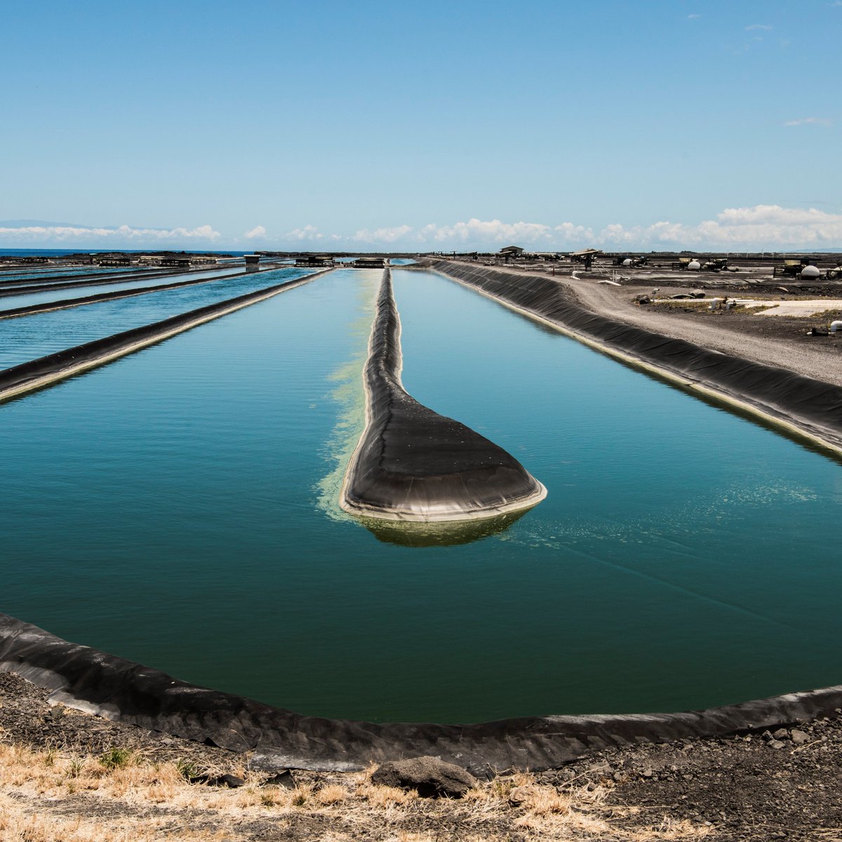 #DYK some of the #decarbonization of the 🇺🇸 economy lies in 🇧🇪 hands? 
🌱🧪 Dr. <a href="/LieveLaurens/">Dr. Lieve Laurens</a>, eminent #bioscientist at <a href="/NREL/">NREL</a> explains how to turn algae into fuel for a more sustainable world.
♻️ Read her story: bit.ly/3gBMh0d
#InternationalDayofWomenandGirlsinScience