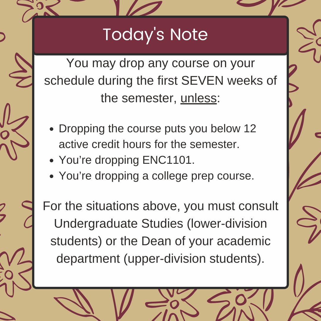 FSU AdvisingFirst tweet media