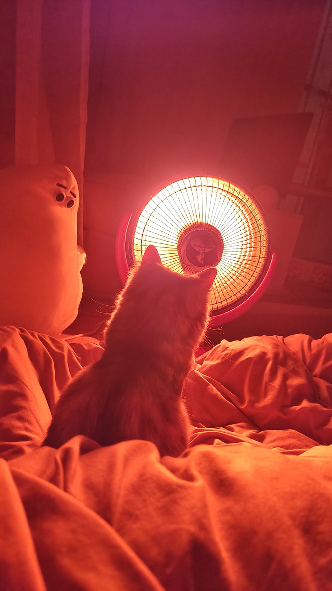 猫说:要有光！然后小太阳就亮了。＃剑网三