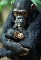 natura e salute (@saluteenatura) on Twitter photo 