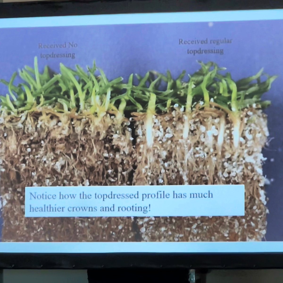 The merits of sand topdressing ⬇️

📸 Let's Talk Pesticides: Do Natural Alternatives Work? 
Joseph Roberts, Ph.D., Travis Gannon, Ph.D.

#GCSAAConference  
#GolfAgronomy