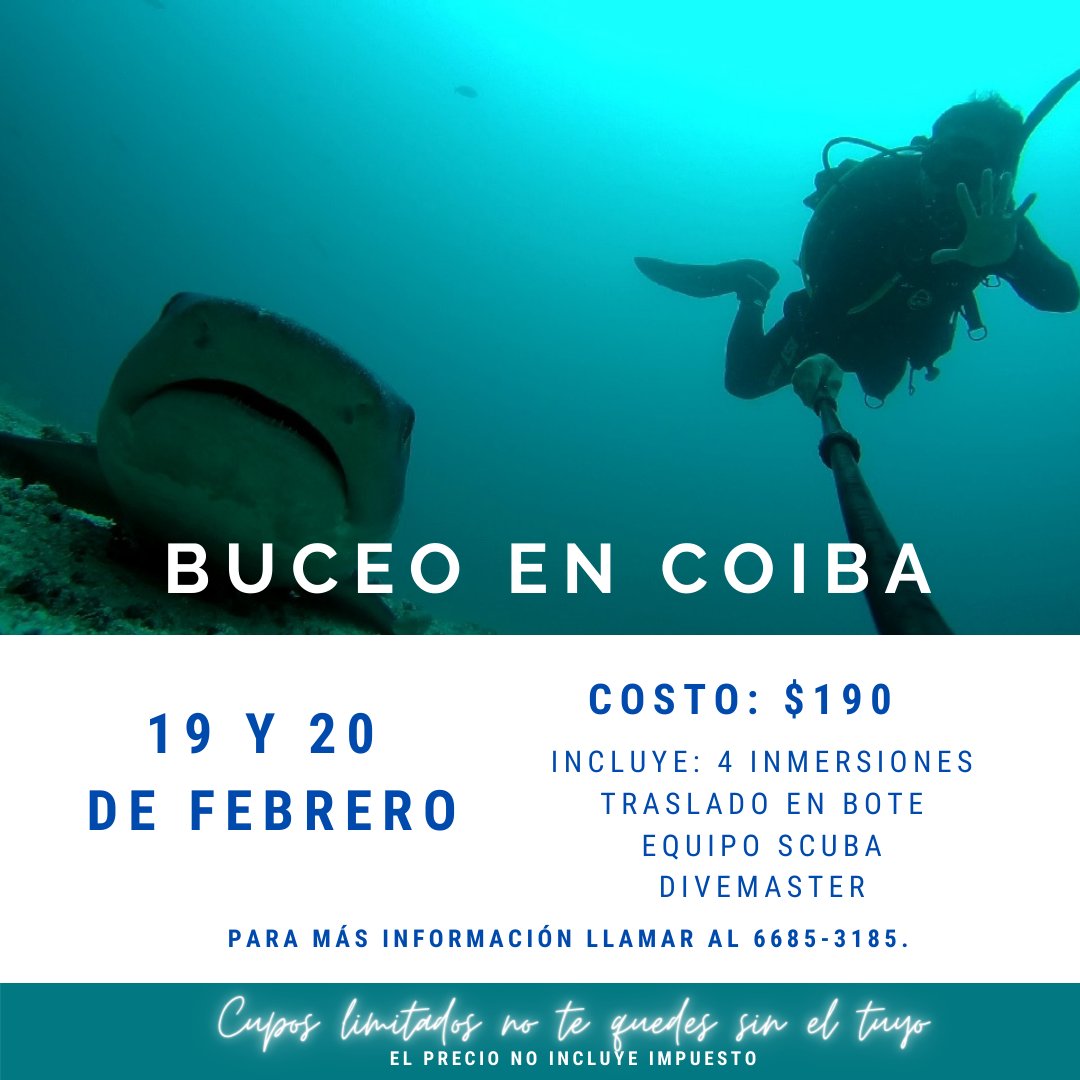 SCUBAPANAMA's tweet photo. ¡En Febrero buceamos en Coiba!🥽 https://t.co/py7yx1Grua