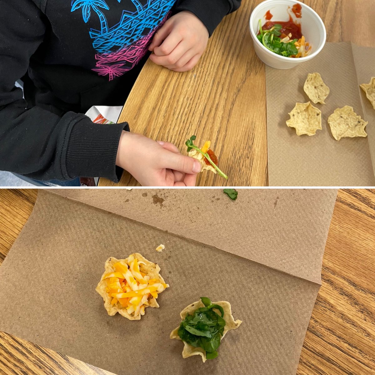 We harvested our fava bean microgreens and had a taco party!! 🌮 Everyone in room 8 tasted them! <a href="/CherylMcQueen14/">Cheryl McQueen</a> <a href="/aitcmb/">Agriculture in the Classroom-Manitoba</a> <a href="/littlegrnthumbs/">Little Green Thumbs</a>
