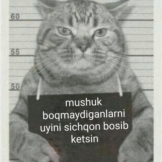 Mening mushuk va eshak hammasi meniki. Mening mushuk va eshak hammasi meniki.