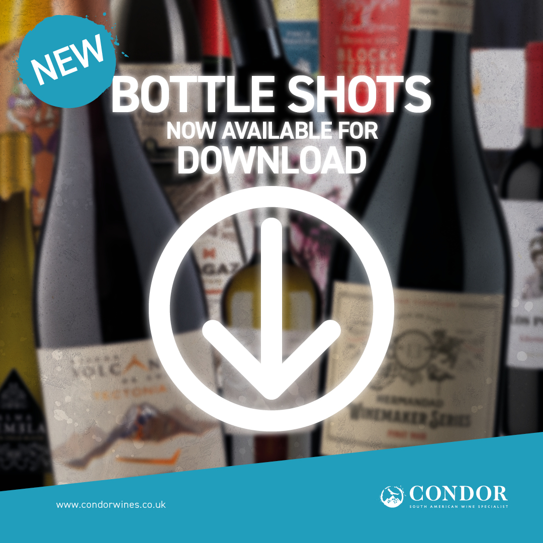 In our recent customer survey you asked for us to make our bottle shots downloadable on our website.

And like magic, it's done 🪄

Even if you need hi-res, just one click and you're good to go 🖱.

Visit the website today and let us know what you think.
condorwines.co.uk