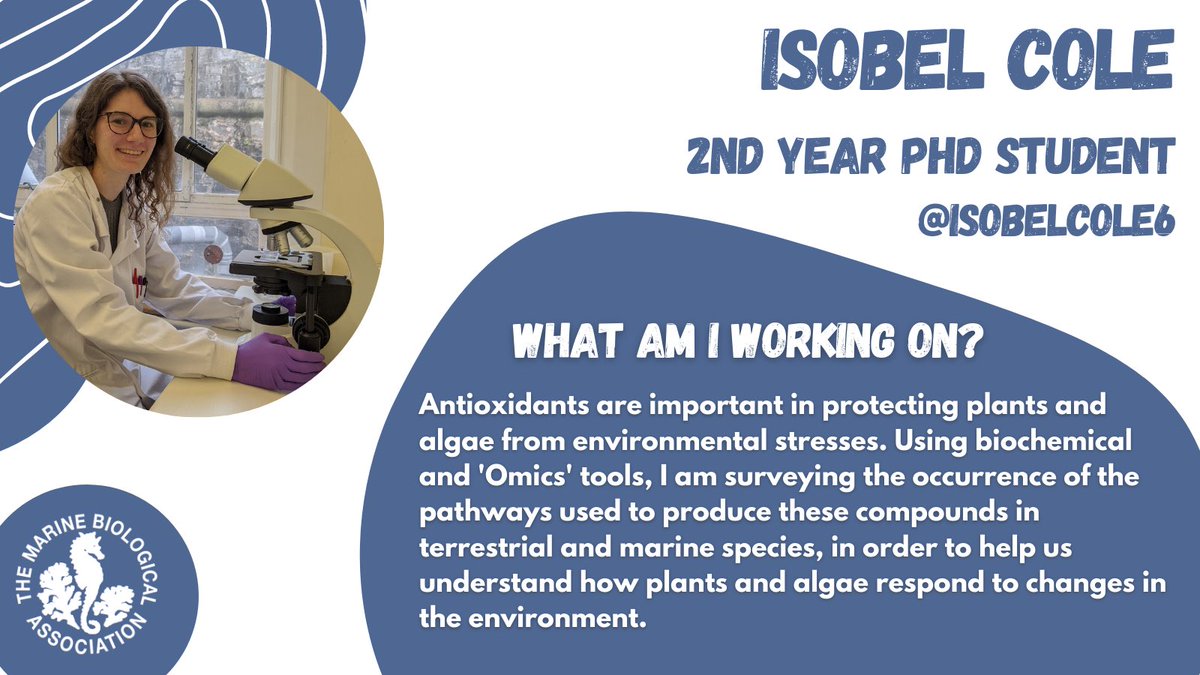 MBAPhDGang's tweet photo. @IsobelCole6 #antioxidants #omics #plants #algae https://t.co/kwiysETL7i