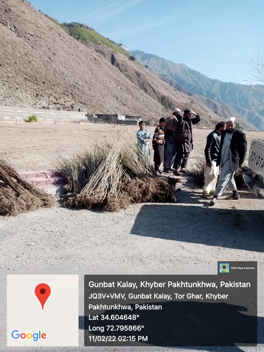 FEWDKPGovt's tweet image. #SpringPlantation, fruit and forest plants distributed amongst people of #Torghar in today's event  organized at Judbah and graced by Deputy Commissioner Torghar, Assistant Commissioner and President PTI District Torghar, Torghar Forest Division,Upper Hazara Circle,Region-II