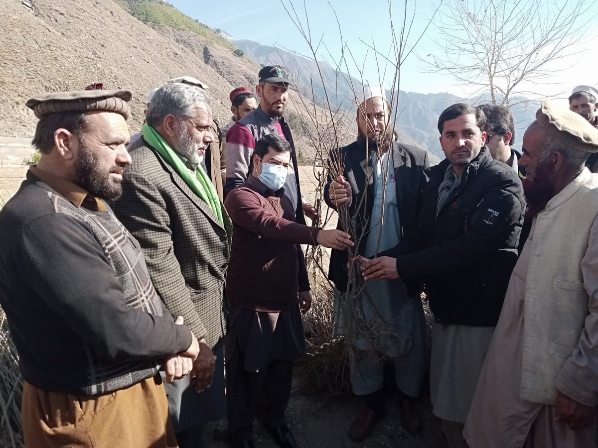 FEWDKPGovt's tweet image. #SpringPlantation, fruit and forest plants distributed amongst people of #Torghar in today's event  organized at Judbah and graced by Deputy Commissioner Torghar, Assistant Commissioner and President PTI District Torghar, Torghar Forest Division,Upper Hazara Circle,Region-II