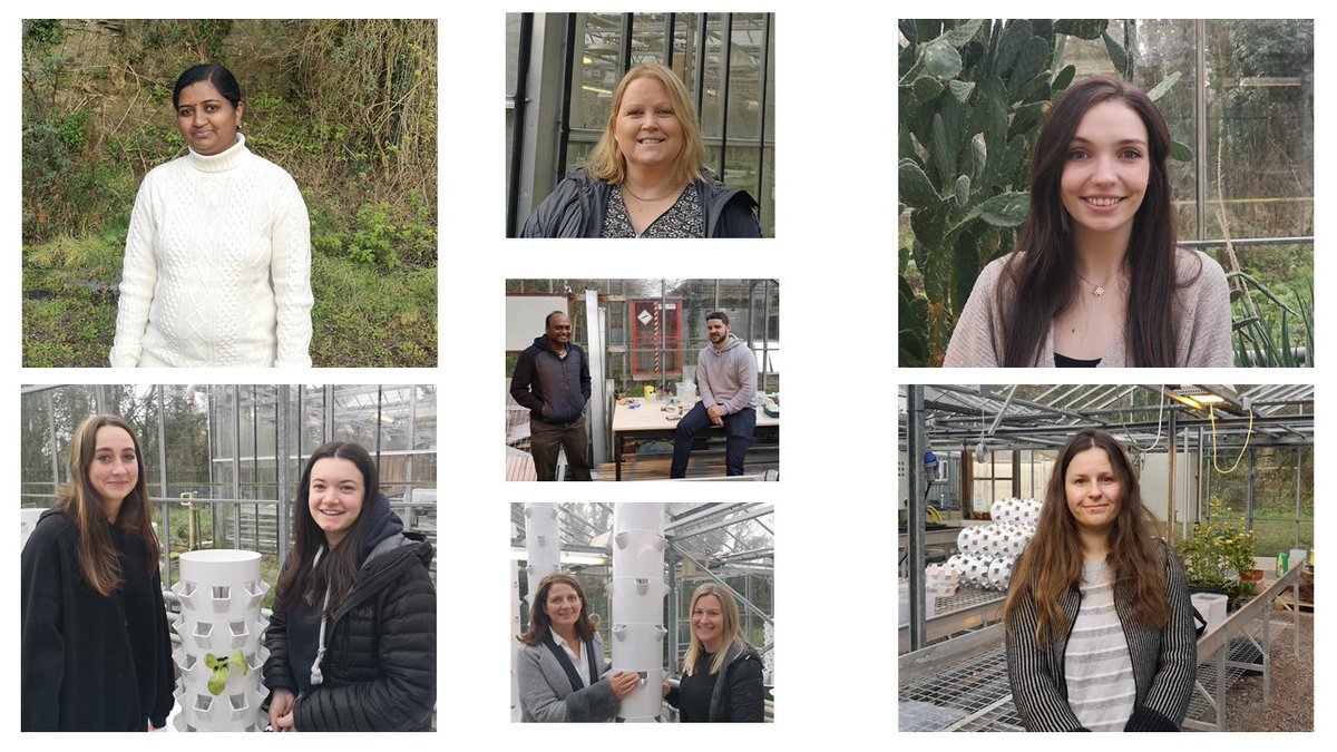 Barbara Doyle Prestwich PhD (@barbaradoylepre) on Twitter photo #WomenInSTEM <a href="/uccBEES/">Biological, Earth & Environmental Sciences, UCC</a> Plant Biotech group.Indu (P infestans @scienceirel ) Roisin (hemp) Kristine (basil) Maggie & Emily (transition yr students) Jenny & Jill (industry) Barbara (PI) <a href="/raghubadmi/">Raghu Ram Badmi</a> (strawberry) & Donal (<a href="/IrishResearch/">We are now Research Ireland</a>) (hemp) supporting! <a href="/GlobalPlantGPC/">Global Plant Council</a> <a href="/SDGoals/">Global Goals Gazette</a> #WomenInSTEM <a href="/uccBEES/">Biological, Earth & Environmental Sciences, UCC</a> Plant Biotech group.Indu (P infestans @scienceirel ) Roisin (hemp) Kristine (basil) Maggie & Emily (transition yr students) Jenny & Jill (industry) Barbara (PI) <a href="/raghubadmi/">Raghu Ram Badmi</a> (strawberry) & Donal (<a href="/IrishResearch/">We are now Research Ireland</a>) (hemp) supporting! <a href="/GlobalPlantGPC/">Global Plant Council</a> <a href="/SDGoals/">Global Goals Gazette</a>
