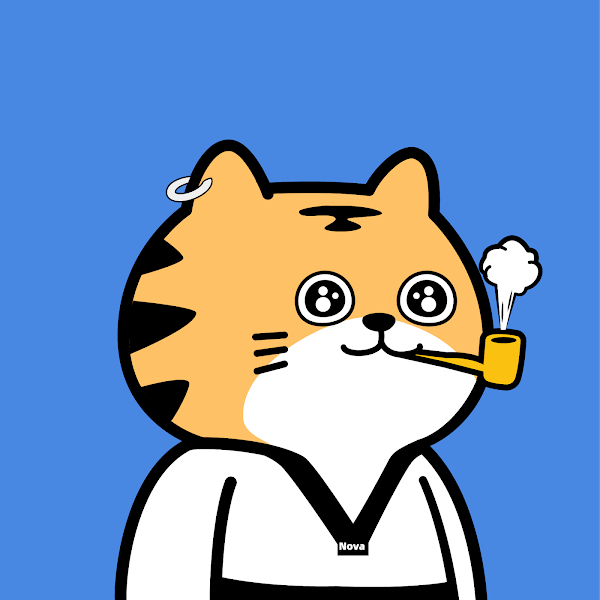 Nova Tiger Club tweet media