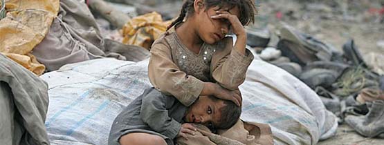 David Anon tweet media