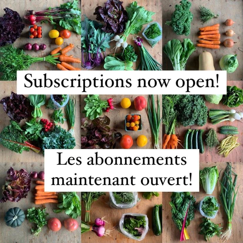 🥕Nous sommes ravis d’annoncer que nous avons établi un partenariat avec la ferme Two Beets! Enregistrez-vous dès aujourd’hui ici➔ twobeetsfarm.com