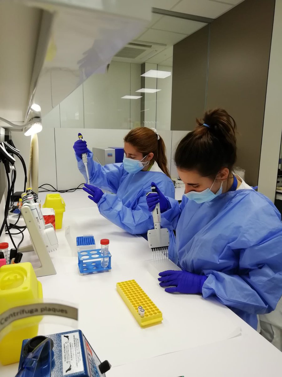 Orgullosa de les dones del grup de Virologia Clínica <a href="/GTRecerca/">IGTP</a> i equip de seqüenciació Microbiologia <a href="/hgermanstrias/">Hosp. Germans Trias</a>, una sinèrgia que ha contribuit caracteritzar l’epidemiologia molecular del #SARSCoV2 i virus de l’#HepatitisC entre d’altres

#WomenInScience #DiaDonaNenaCiència