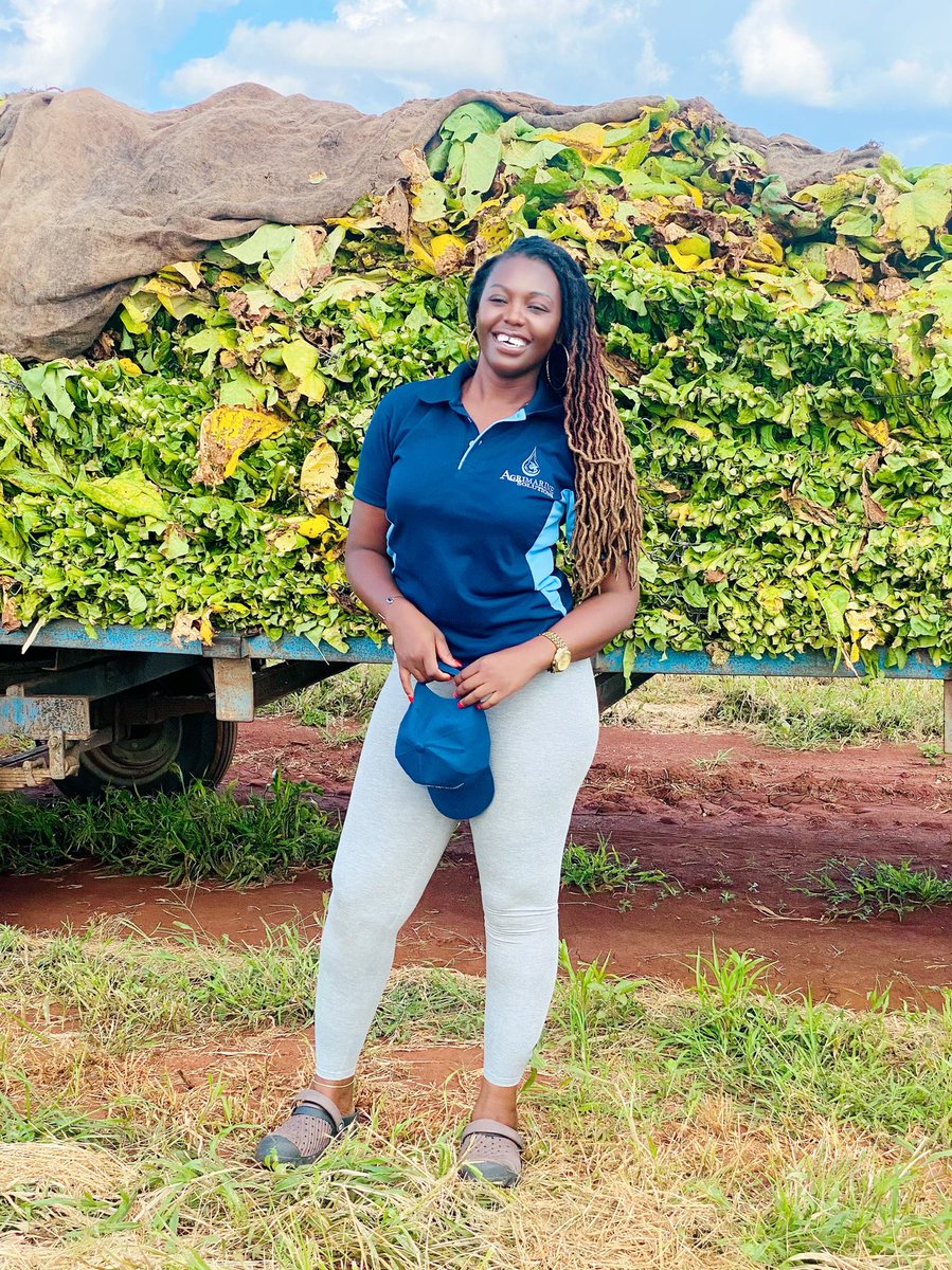 agribusiness1. tweet media