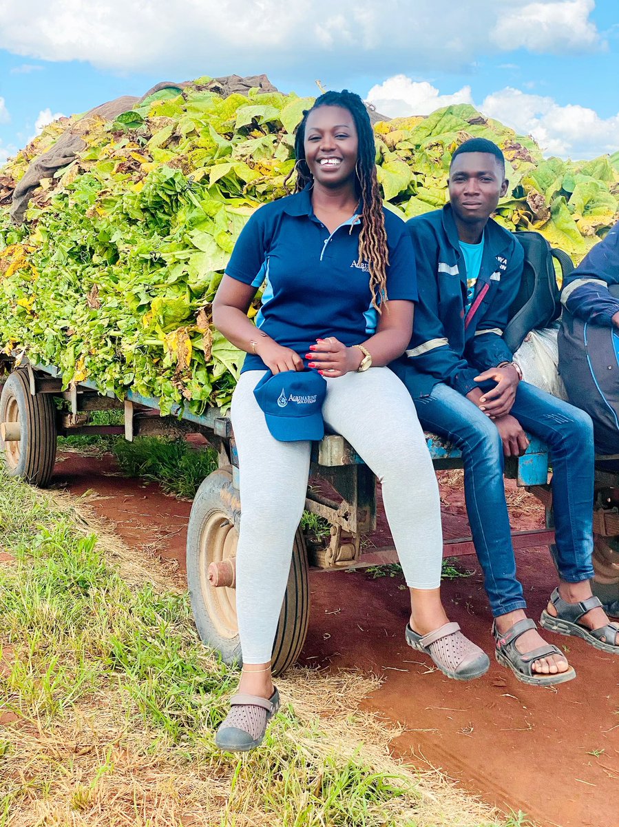 agribusiness1. tweet media