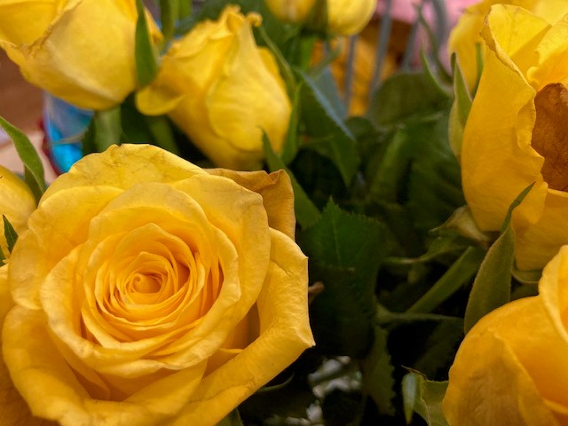 rose radiant media llc phone number rose radiant media llc phone number