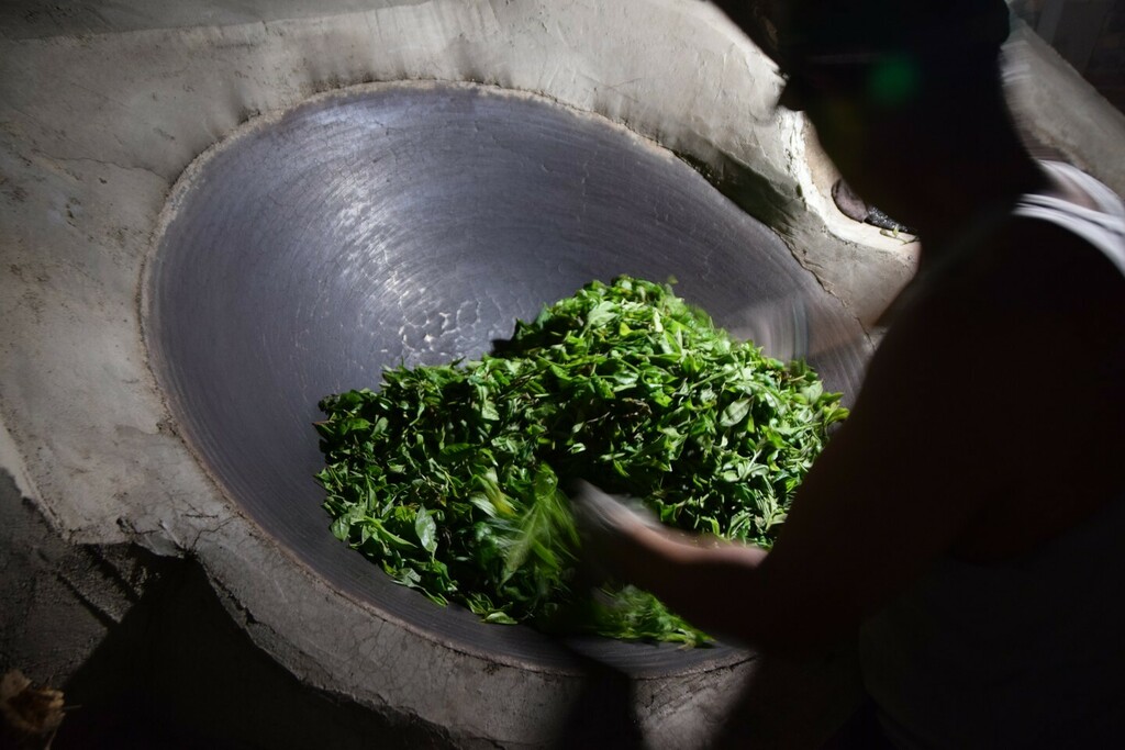 ZhenTea2014's tweet photo. Pan firing in making Pu'er tea. A late-night entertainment/exercise 😂
.
#puerh #puerhtea #puertea #teatrip #teatravel #gaiwan #gongfutea #zhentea #chinesetea #gongfucha #teapot #teatime #tealovers #tealover #makingtea https://t.co/QFULMACqBM