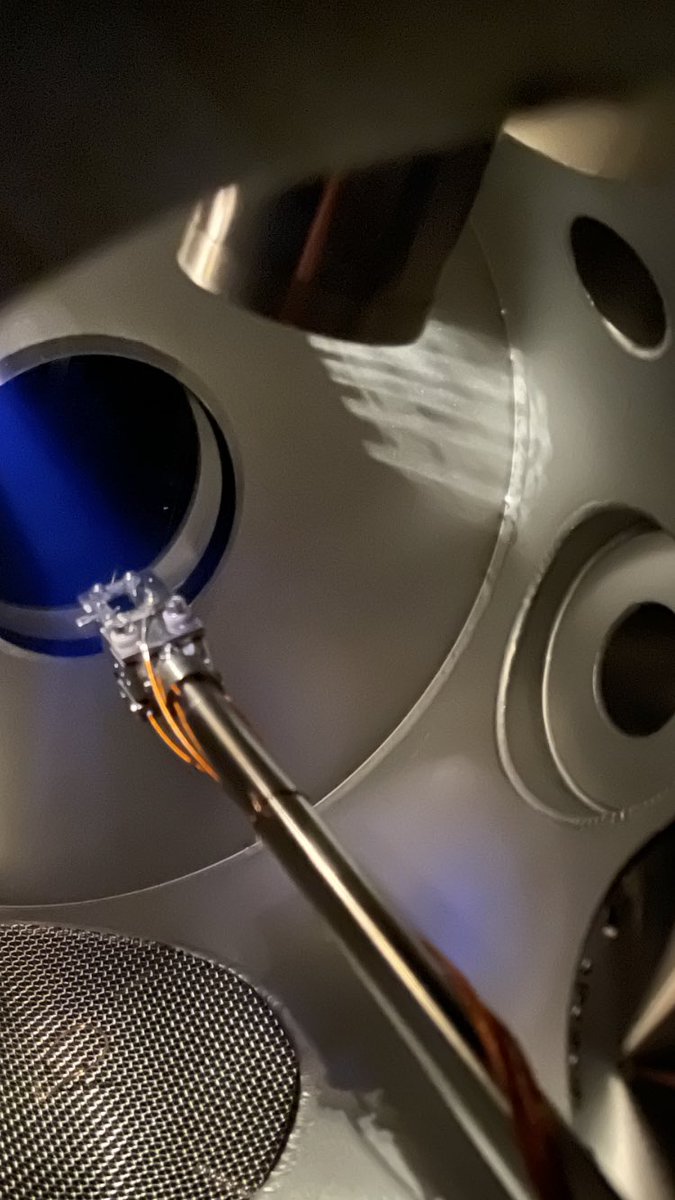 CA Palma tweet media