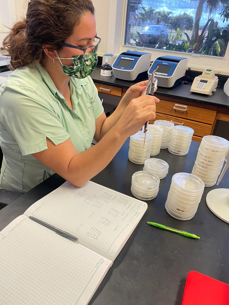 ClinicPlant's tweet photo. Happy International Day of Women and Girls in Science! From our lab to yours!  #WomenInScience #GirlsInScience @UFTropical @UFPlantPath 
Also @ncoloncarrion, Christ Belizaire, and soon @DraisInas 👩‍🔬👩‍🌾👩‍🏫👩‍💻👩‍🔬 https://t.co/4c3d260e5j