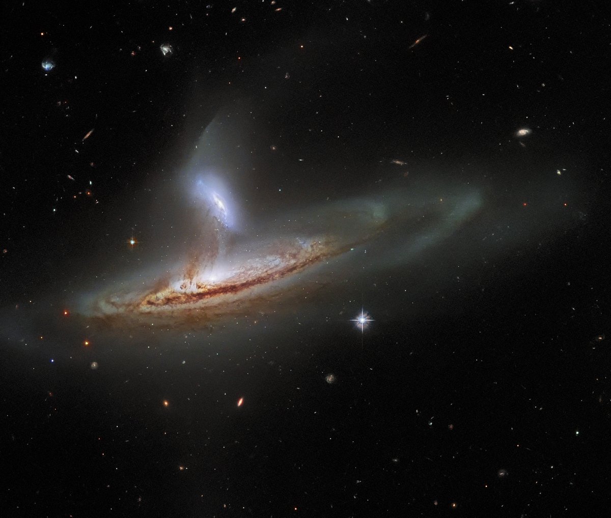 NASAHubble's tweet photo. Go with the tide 🌊

Tidal forces, that is.

In this captivating #HubbleFriday image, an interacting galaxy pair known as Arp 282 is experiencing tidal interaction, which occurs when an object's gravity causes another object to stretch or distort: https://t.co/MmeajkDG1I https://t.co/ujKUqtZGrU