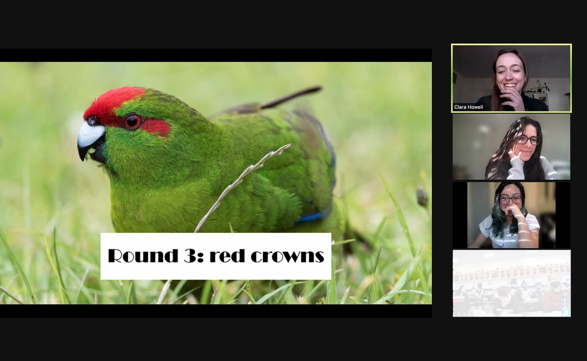 TriCEM_NC's tweet photo. They also used a super fun interactive game to demonstrate how natural selection and sexual selection work. This game is part of a lesson plan that #TriCEMGrad Clara designed last summer, which can be accessed here: https://t.co/JFlEf5yXB7 https://t.co/CcNeTUk0mI