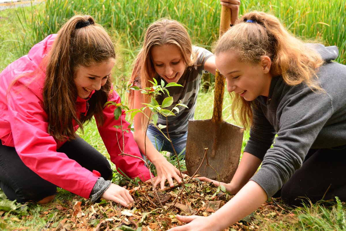 Conservation Ontario tweet media