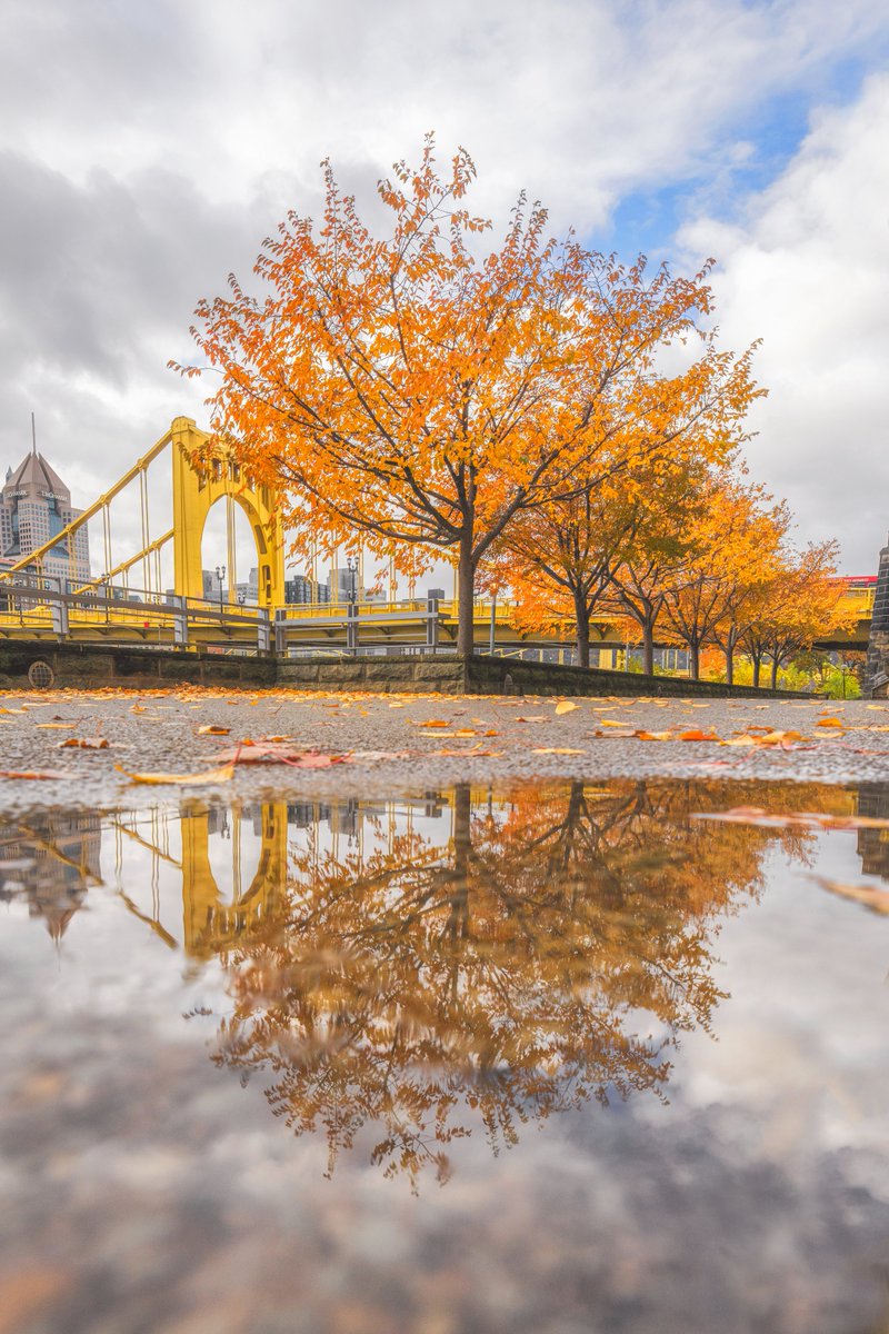 DaveDiCello's tweet photo. With all of the snow in #Pittsburgh over the last month, I completely forgot to share my newest four seasons shot, a reflection in a puddle on the North Shore. Before I captured the spring view I had never seen this perspective before, and it made for a perfect seasonal view. https://t.co/PY8qzYUpbh