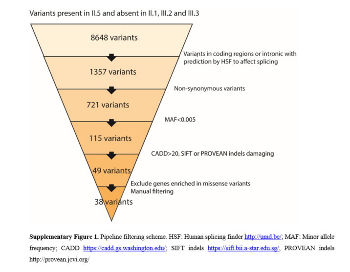 ASBMR's tweet photo. Authors of a new article identified 38 rare coding variants present in the proband and absent in the three individuals with normal BMD @nmartinezgil @CDBruque @UniBarcelona #JBMRPlus #freetoread #openaccess #bonedisease #bonedisorder #geneticresearch https://t.co/3qpCpYwJOd https://t.co/JyQH4A5Fnq