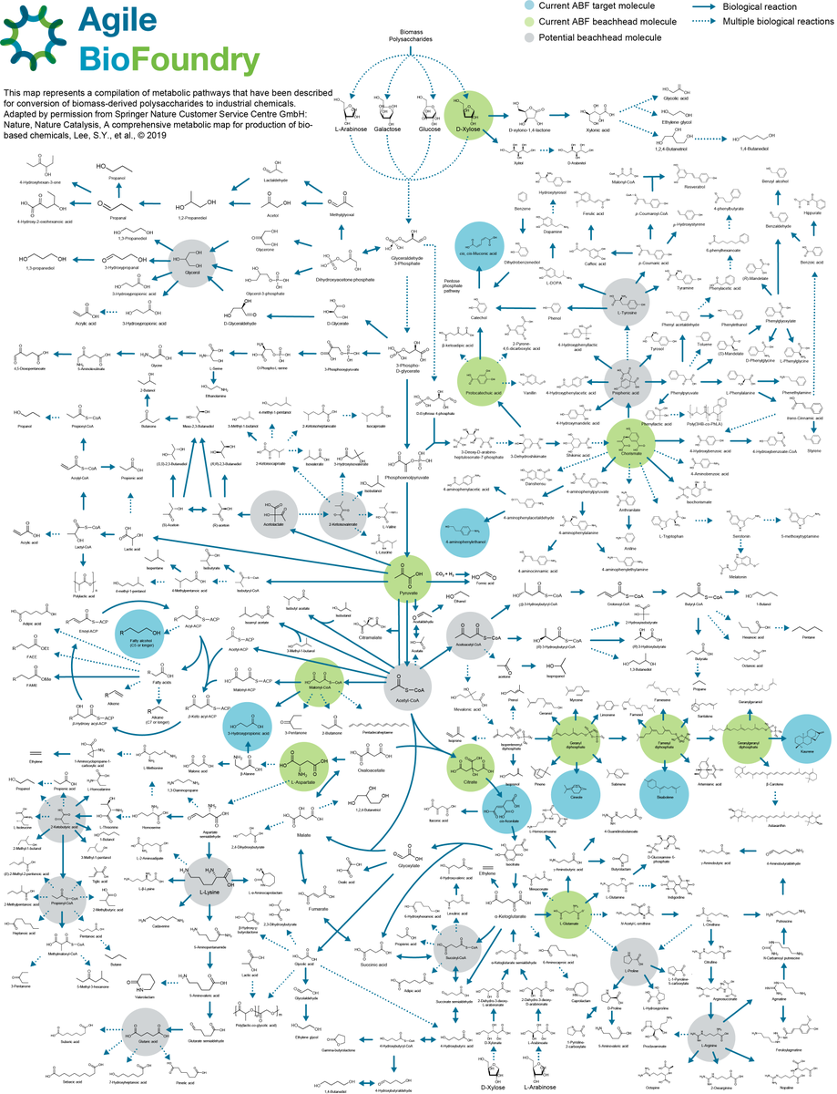 Get where you want to go, faster ⏩ 

Discover how the Agile BioFoundry can get you closer to your target molecule by checking out our metabolic map: 
ow.ly/wpZB50GLP8g