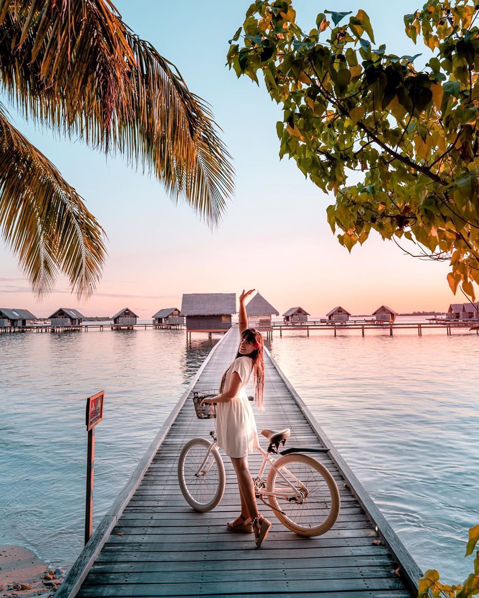 firstminute1's tweet photo. Sunset on Maldives....
#Maldives #Travel #sunset https://t.co/yP557BxkPP