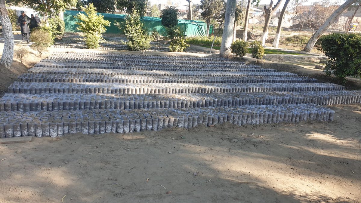 FEWDKPGovt's tweet image. #SpringPlantation:Bannu Forest Dvn inspected Nursery and block plantation sites at Bermi khel(50ha),AliKhan Wanda (80ha) Thanedar Station(137ha) &amp;amp; Wanda Mir Alam (58ha).The Field Formations were advised to promote indigenous species. Plants distribution amongst farmers also held.