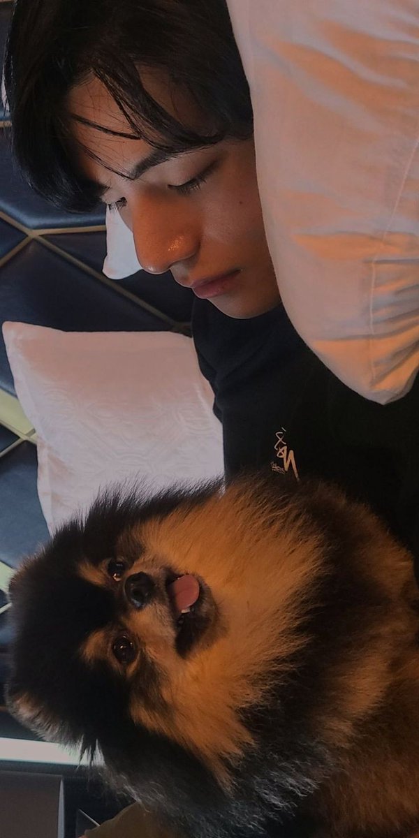 Benim en güzelim biricik meleğim seni çok seviyorum bal adam...💜

WE LOVE YOU TAEHYUNG