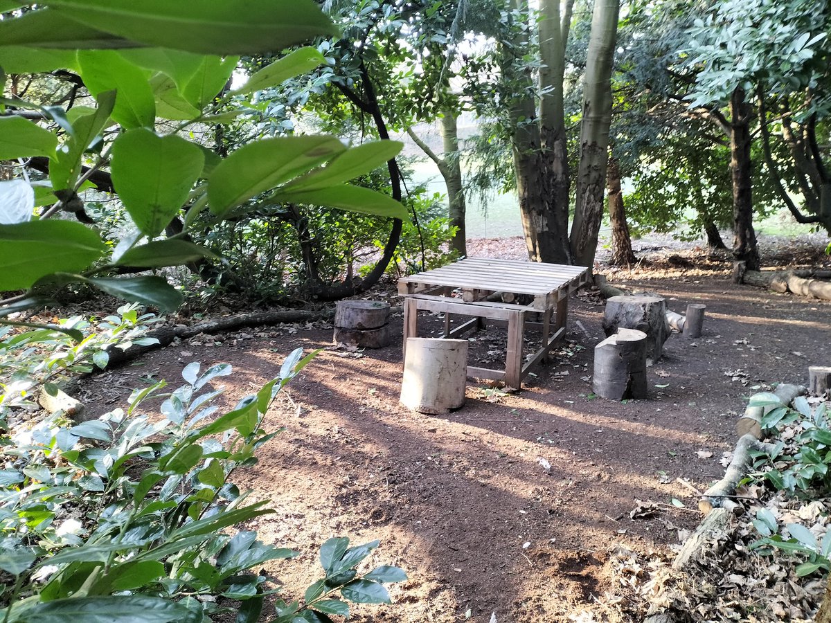 JasonCrane272's tweet photo. 2/3 more pictures from the allotment, the Spinney woods where students will be able to eat lunch when the warmer weather arrives 🤞🤞 @TSASAllotment @tsas_norwich @ThePapillonPro https://t.co/Aicnlrhq5C