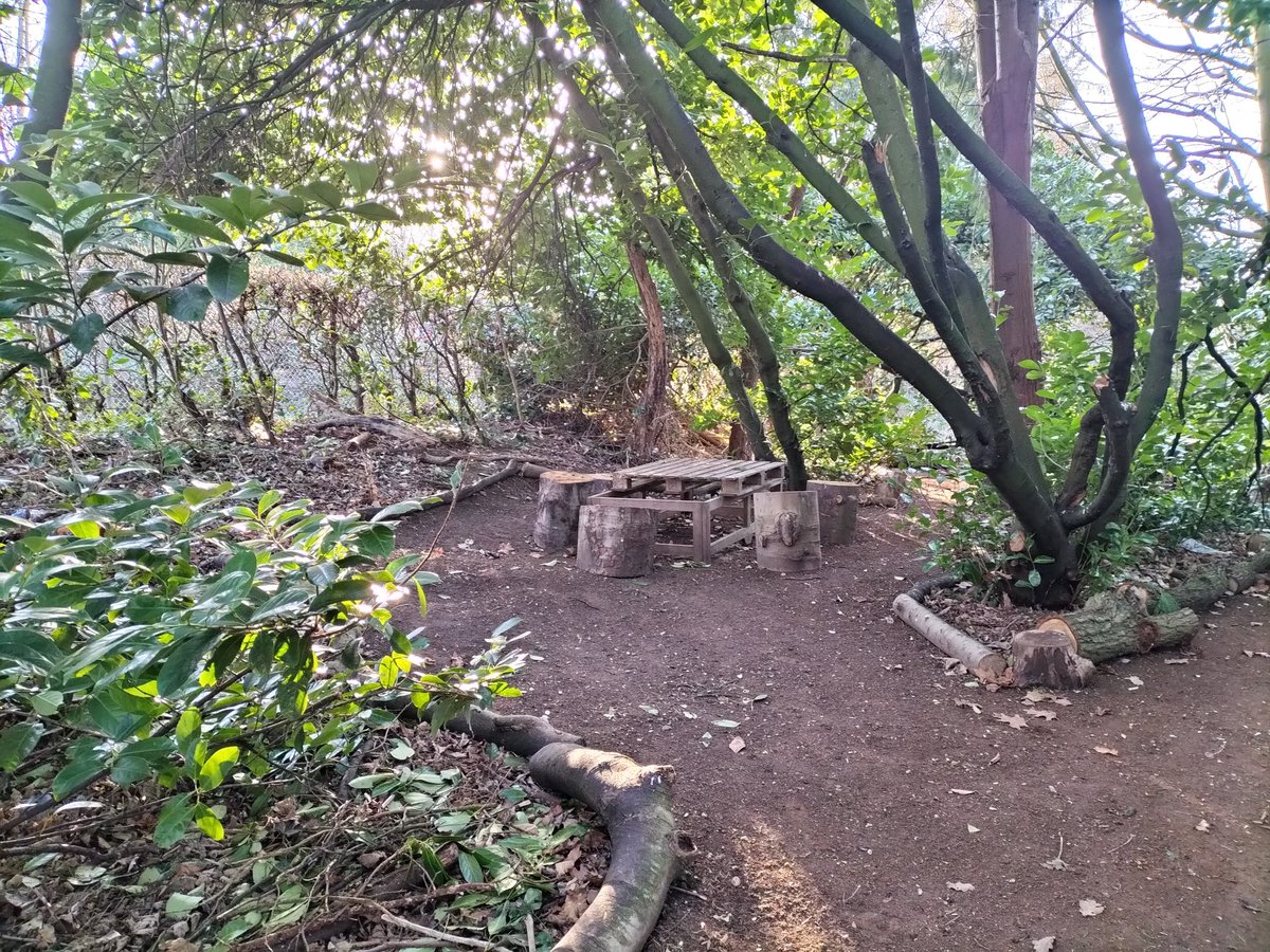 2/3 more pictures from the allotment, the Spinney woods where students will be able to eat lunch when the warmer weather arrives 🤞🤞 <a href="/TSASAllotment/">Thorpe St Andrew School Allotment</a> <a href="/tsas_norwich/">Thorpe St Andrew School and Sixth Form</a> @ThePapillonPro
