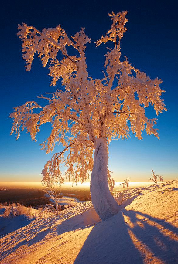 Stella♥️ tweet media