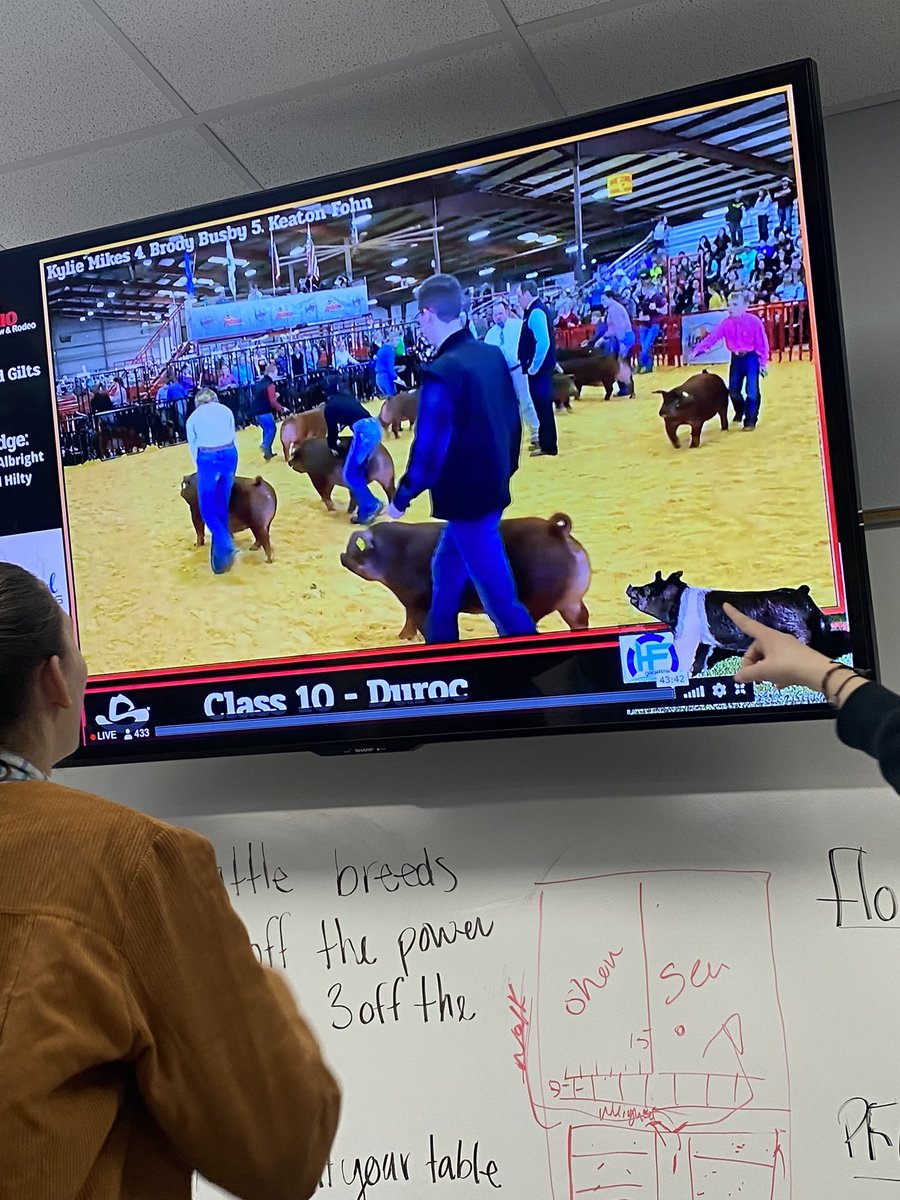 Torin Lynn tweet media