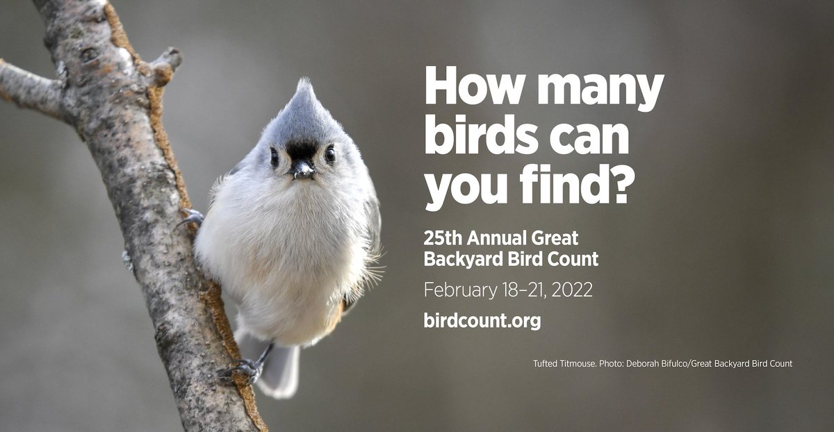 nc_childrens's tweet photo. Join us in Kidzu's Garden on 2/18 to celebrate the first day of the #GreatBackyardBirdCount and make bird observations together! 🐦 Bird guides, binoculars, and hot cocoa will be provided. #ncbirdcount #scienceacrossnc
Learn more: https://t.co/PboOHbu2ge https://t.co/vto81IuGPl