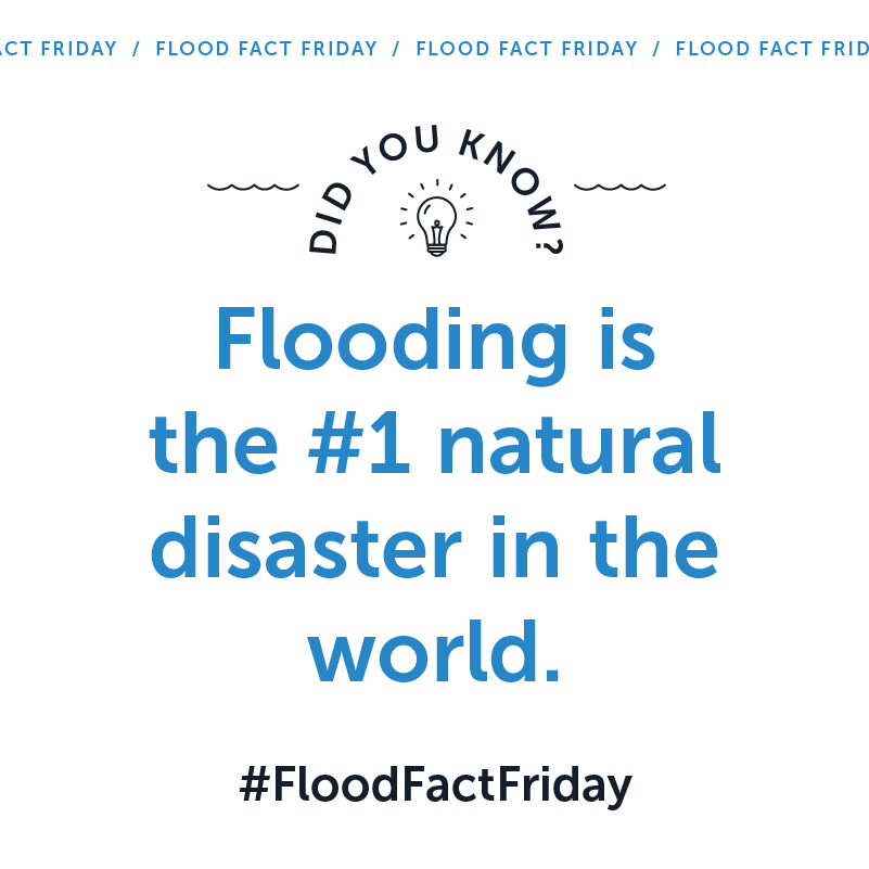 #FloodFactFriday