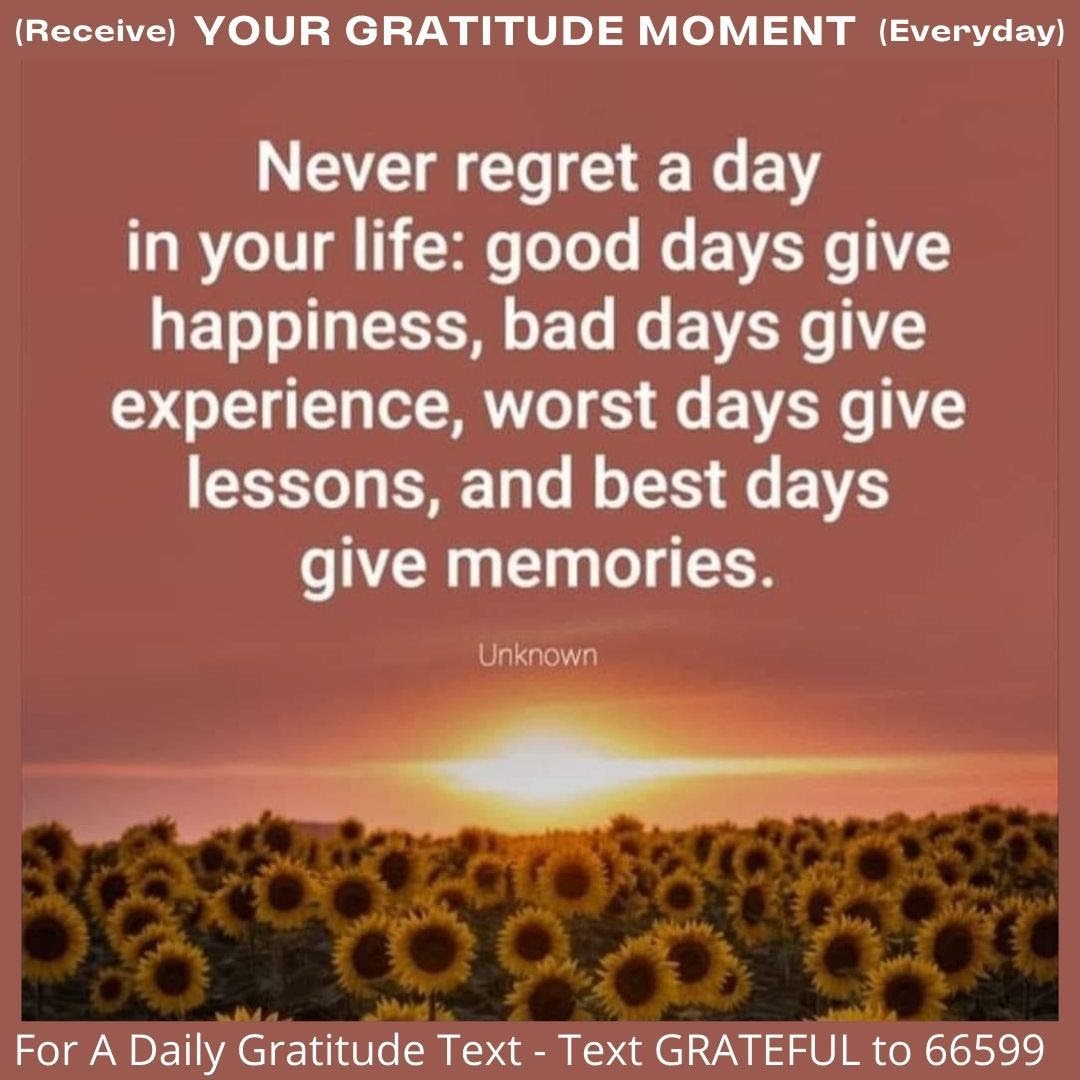 bobby_kountz's tweet photo. “Never regret a day in your life: good days give happiness, bad days give experience, worst days give lessons, and best days give memories.” #Lessons
@GratitudeSpace @bobby_kountz
#Quote #WritingCommunity #Graritude
More Gratitude Here 👇🏼👇🏼👇🏼👇🏼👇🏼
🎬 https://t.co/Dv3ZU3c9pk 🎬 https://t.co/YVgE7sXyJ9