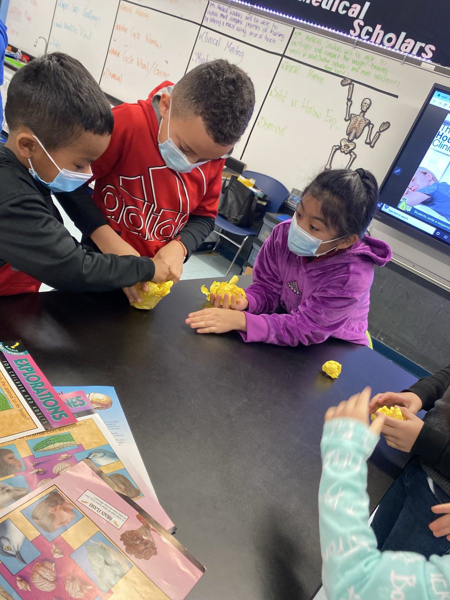 MsRay_Teach's tweet photo. 2nd grade medical scholars exploring the significance of wrinkles on the surface of the cerebrum. @Elrod_HISD https://t.co/TAW6JobqMP