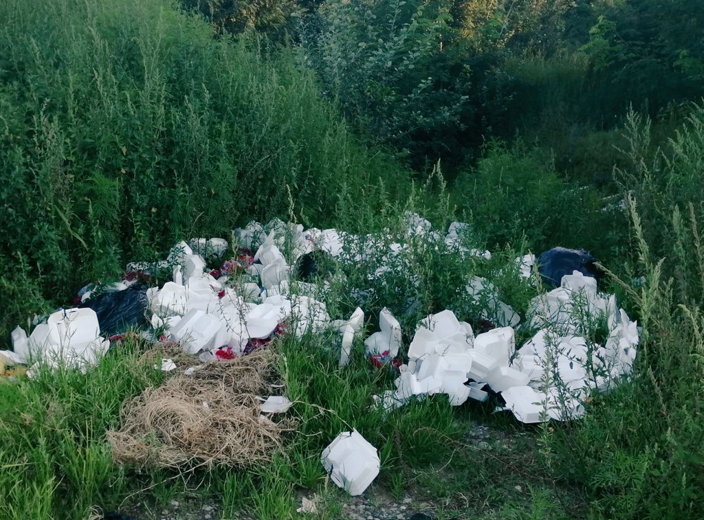 AnneMacroUK's tweet photo. I am. Which is one reason why this β¬οΈ (on the same walk) really upsets me. #KeepLesothoClean https://t.co/2Y71yZpH2Z