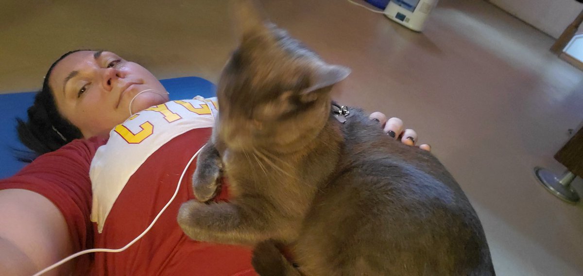 PilarPedrazaTV's tweet photo. Lennier has decided today's workout is over! #homegymproblems #catsrule #FinalAnswer #fitness #CatsOfTwitter https://t.co/KulYqZi0af