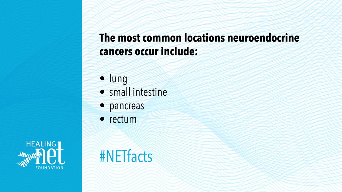 HealingNET1's tweet photo. Neuroendocrine cancers are unique in that they can occur anywhere in the body where hormone-producing cells are found. The most common locations include lung, small intestine, pancreas, and rectum. #NETfacts https://t.co/i7M9RcgFex