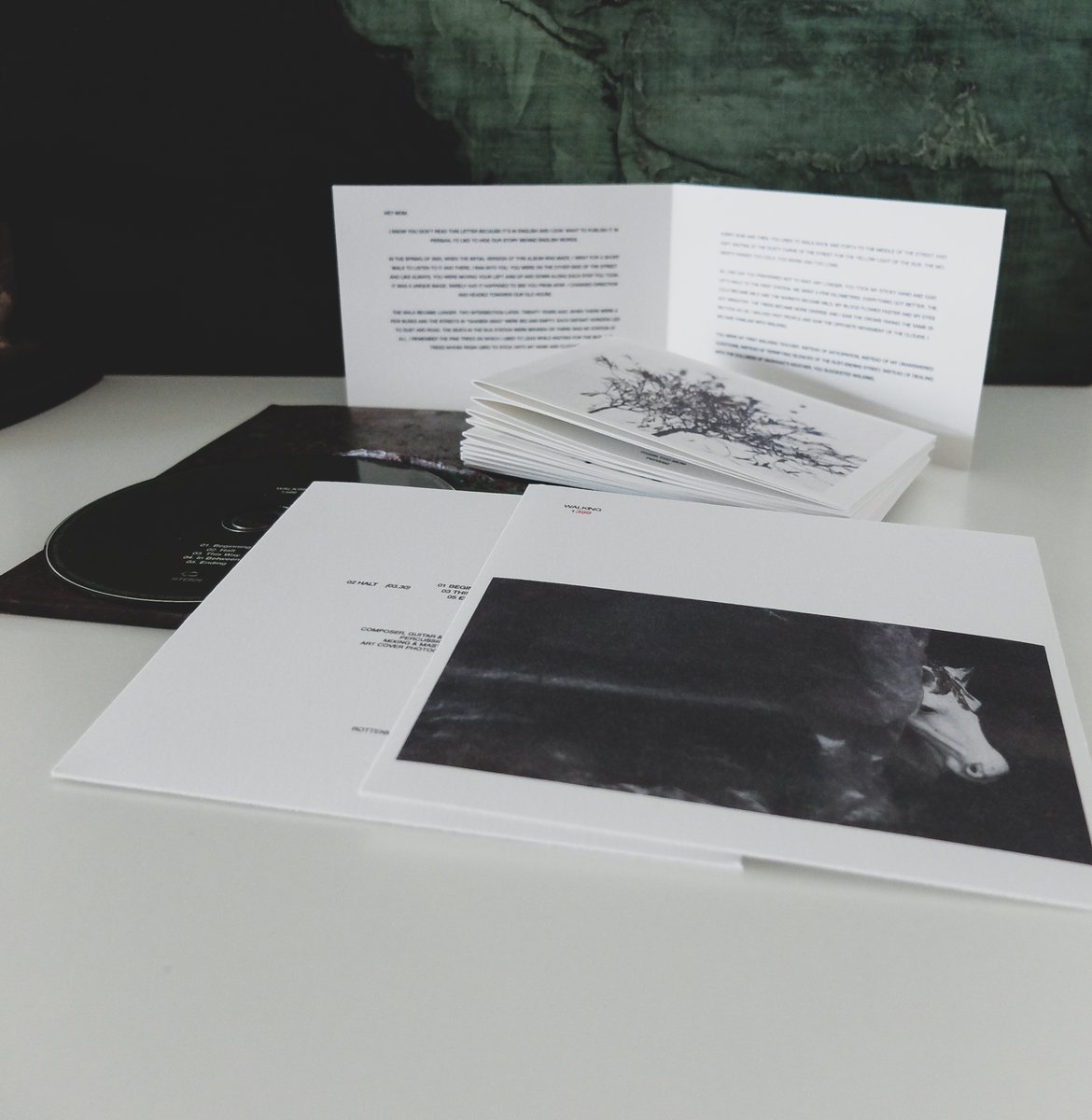 Rottenman Editions tweet media