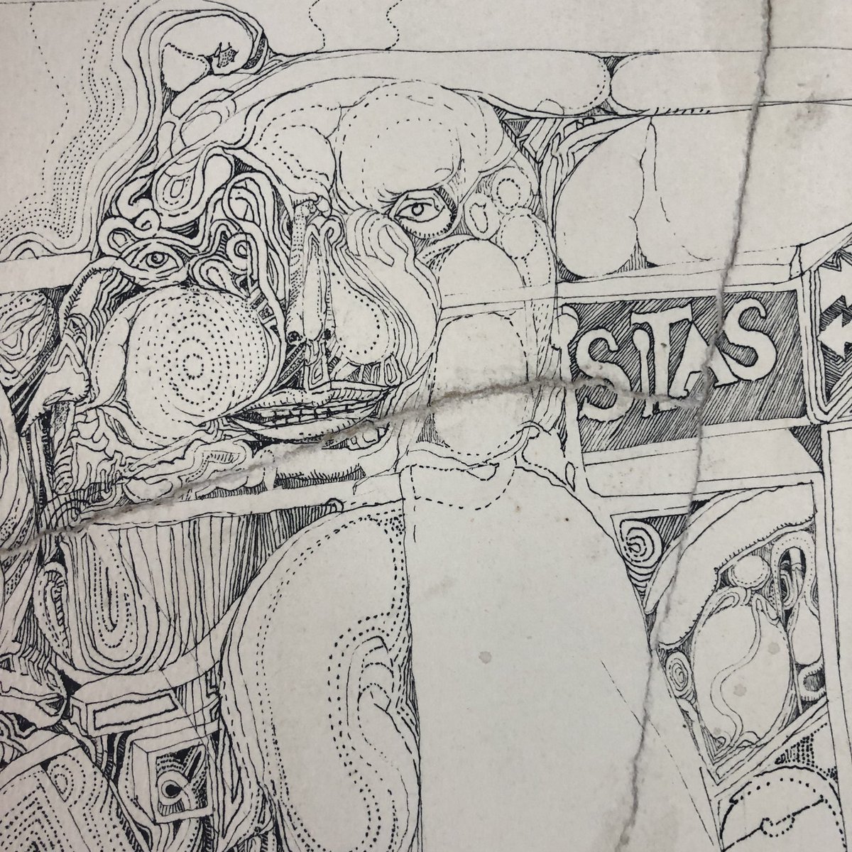 #miguelvarea #estétikadeldisumulo #vareaciones #plumilla #tintachina #ink #dibujo #arte #art